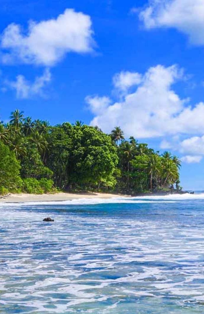dive_kavieng